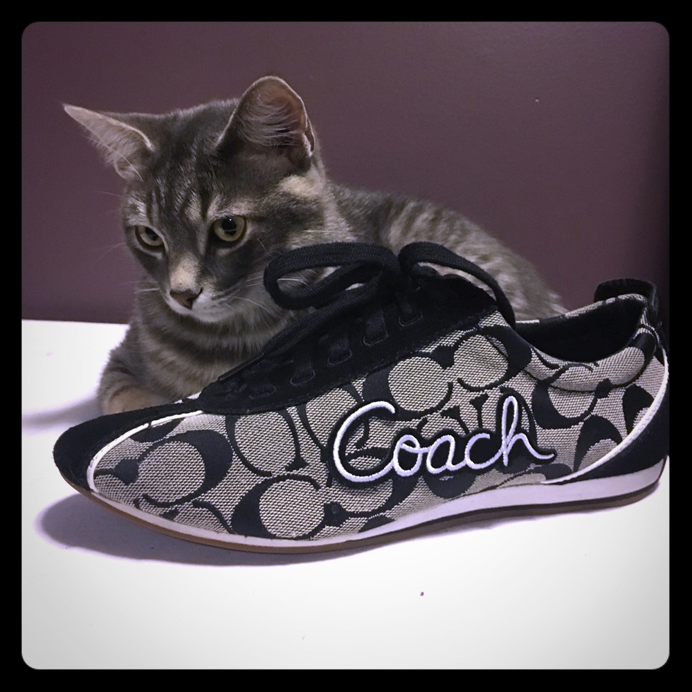 Coach sneakers