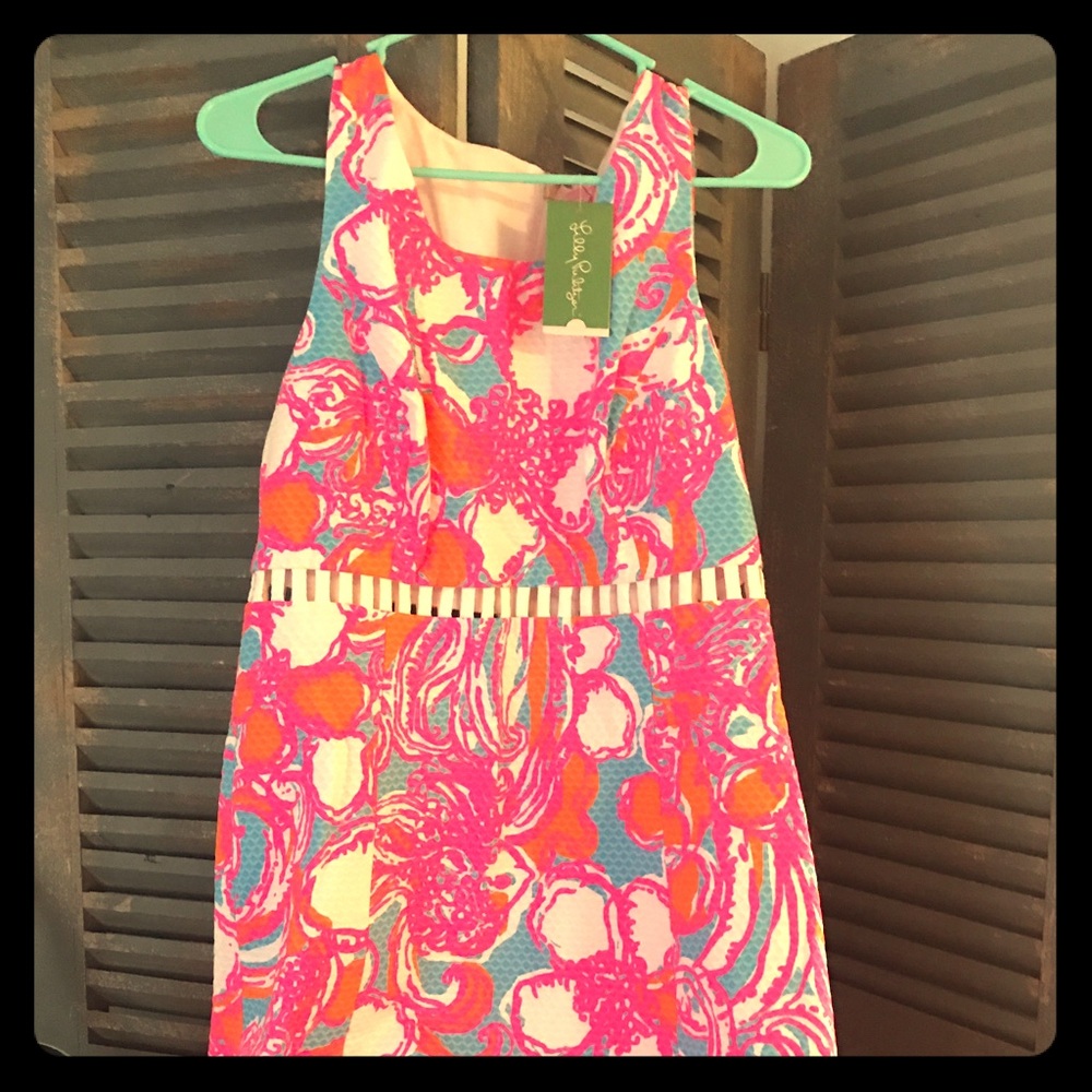 Lilly Pulitzer Iggy Shift Size 12
