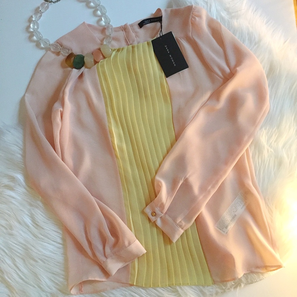 NWT Zara Sheer Pastel Blouse from Paris