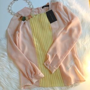 NWT Zara Sheer Pastel Blouse from Paris