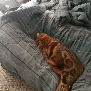 Meet your Posher, Patricia