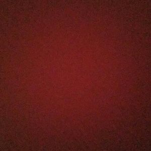 Meet your Posher, Isabella