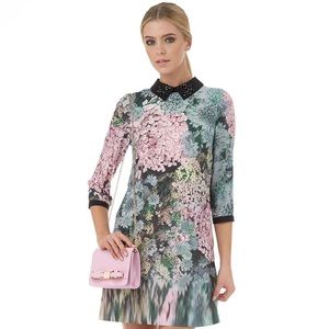 ✨🖤Ted Baker Dress🖤✨