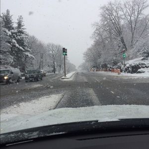 Meet your Posher, Theresa