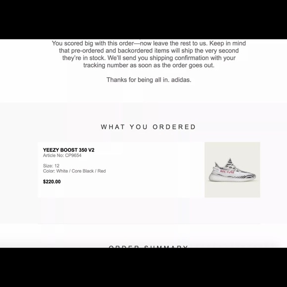 Yeezy 350 v2 zebra