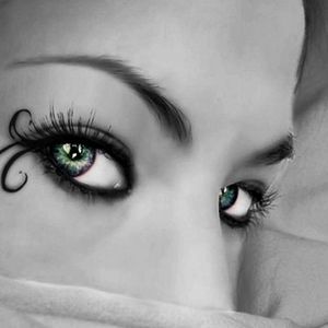 Meet your Posher, Annie