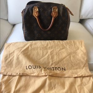 Louis Vuitton Bag