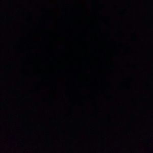 Meet your Posher, Shirley