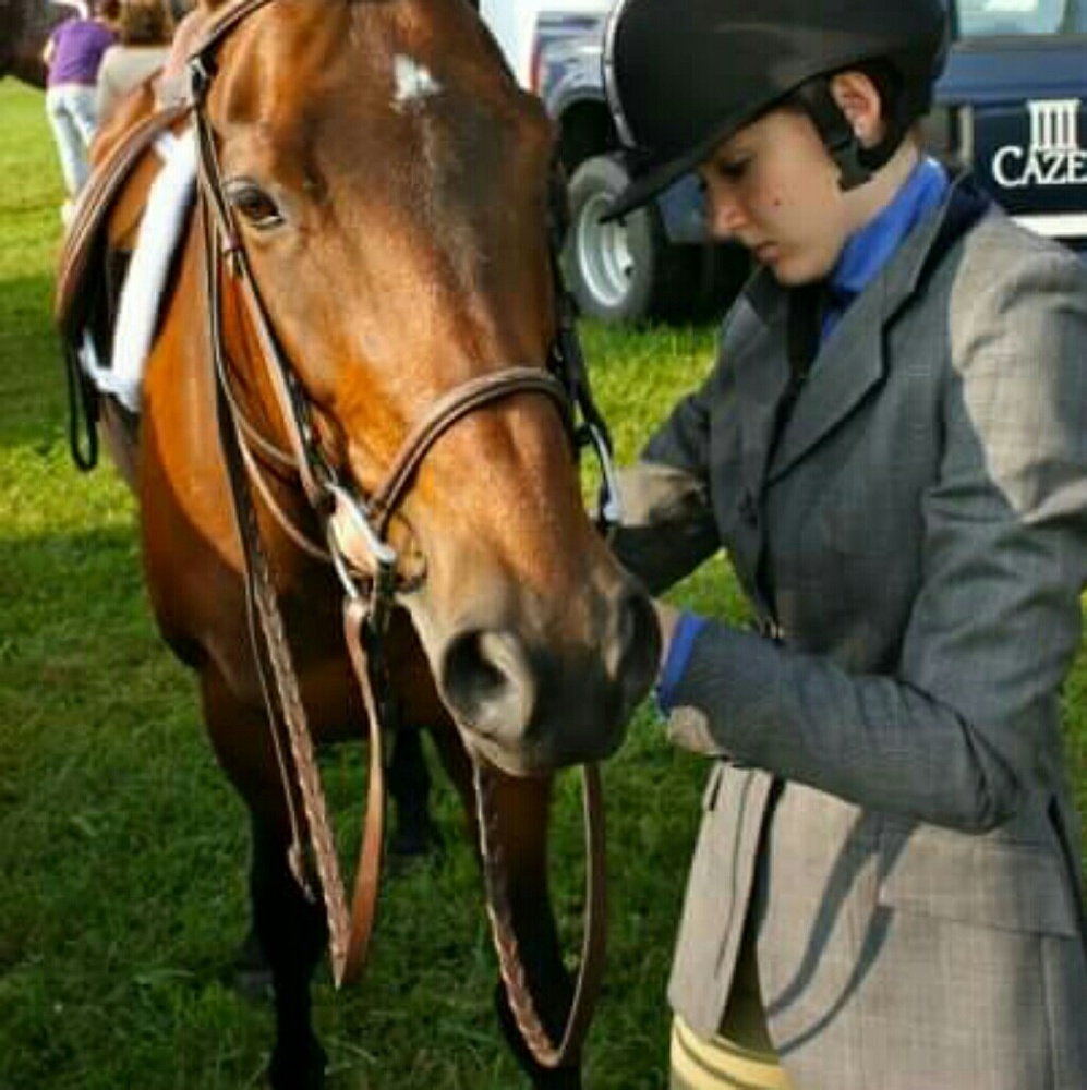 Grey Windowpane Elite Show Jacket/ Hunt Coat