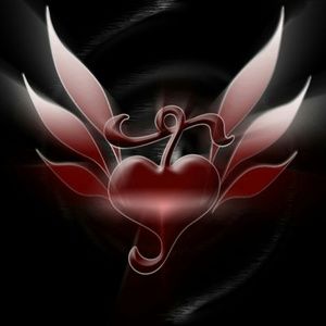 Meet your Posher, Shelly