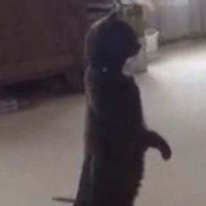 Meet your Posher, Chloe