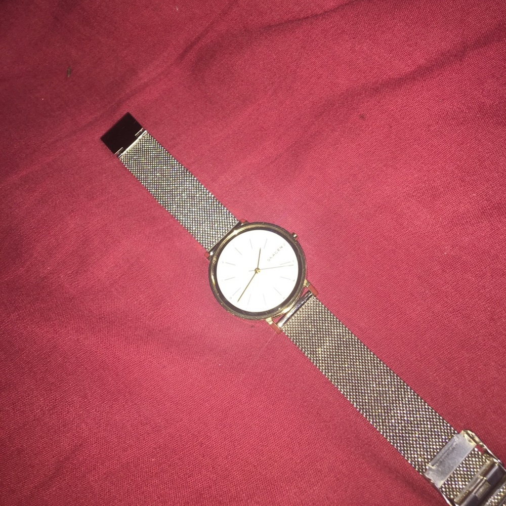Skagen Watch