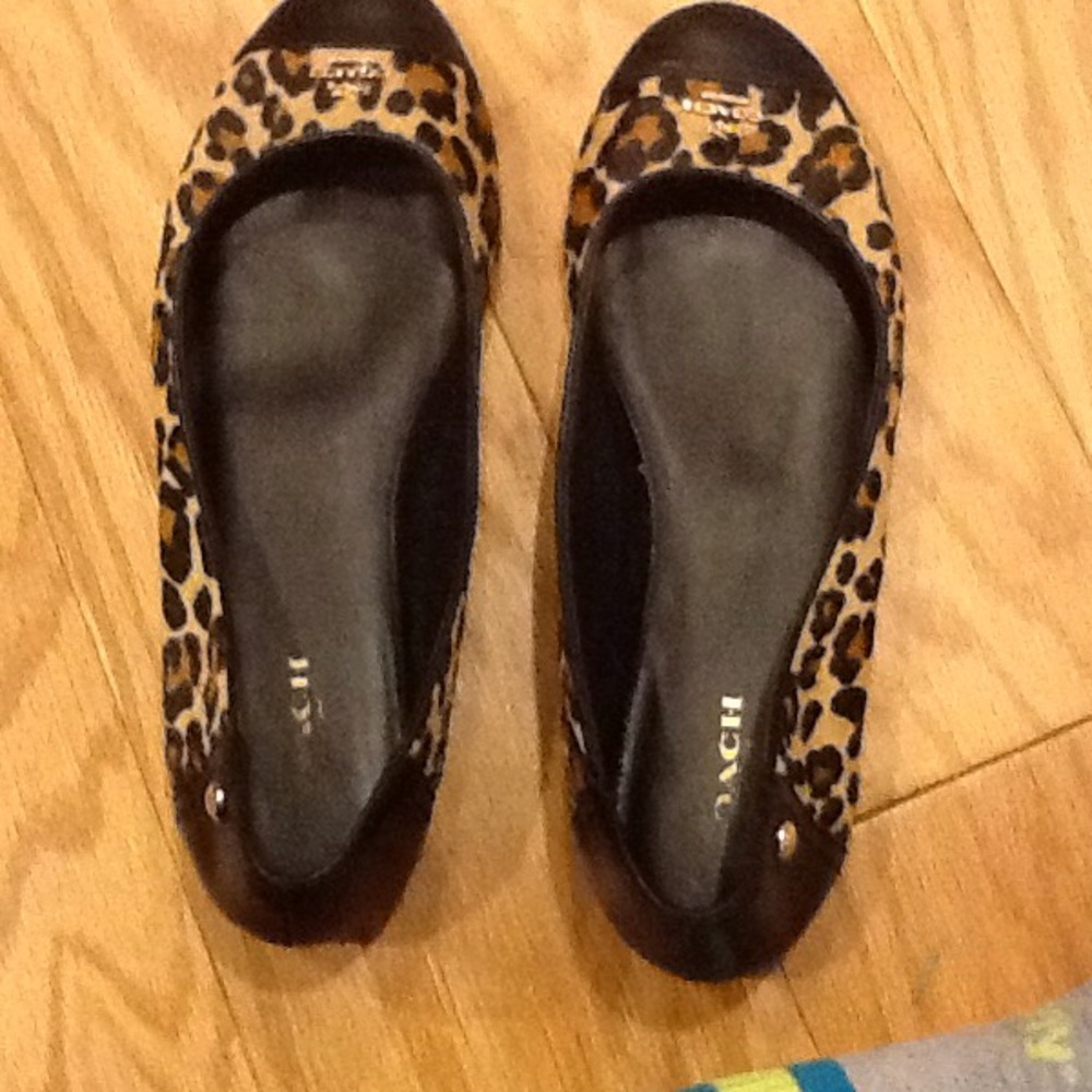 Coach shoes