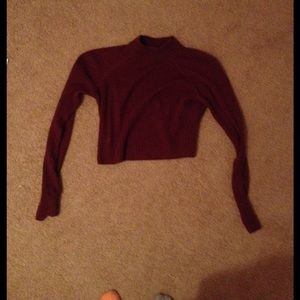 Burgundy Cropped Turtleneck