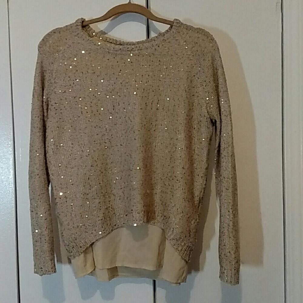 Cream Crew Neck Sweater with Gold Sequins