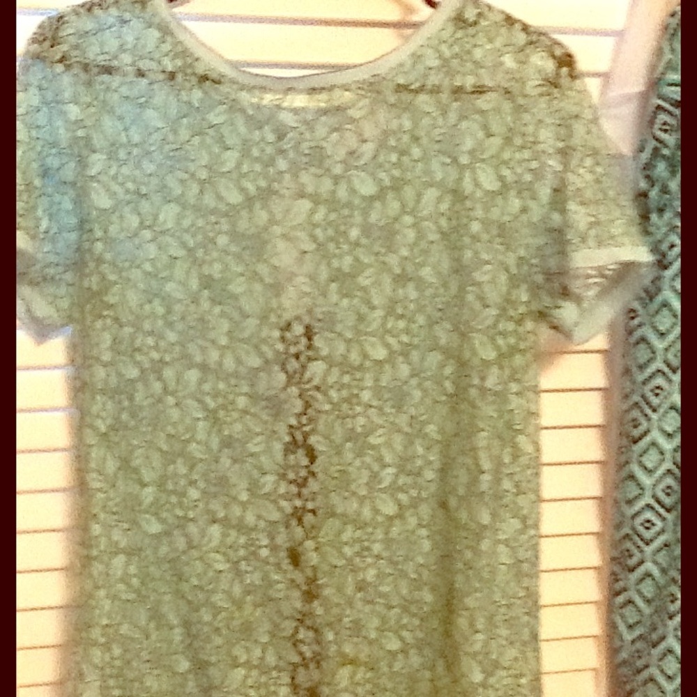 Short-sleeved sheer lace blouse