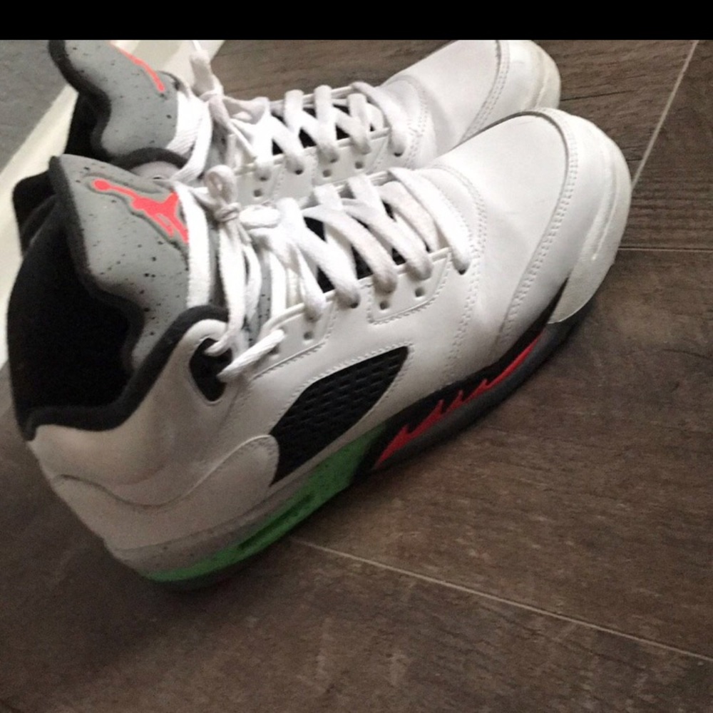 Space Jam Retro 5 Jordan's