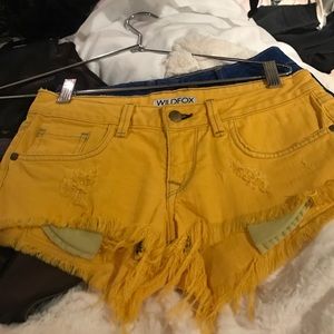 One teaspoons shorts