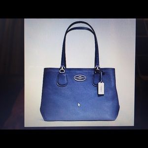 Coach Kitty Carryall