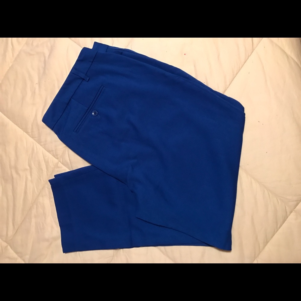 Blue skinny cropped pants