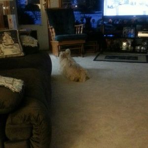 Meet your Posher, Judy