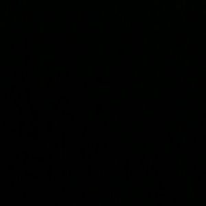 Meet your Posher, Eva