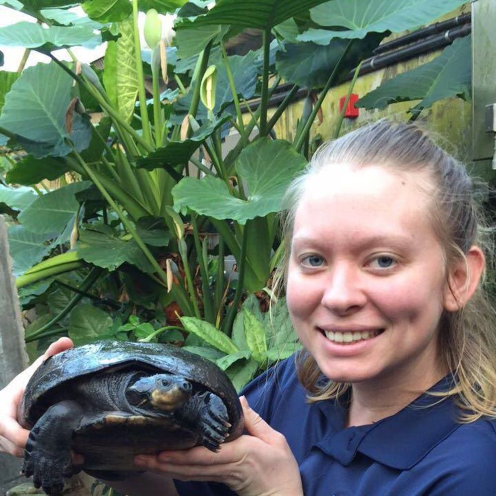 Meet your Posher, Tiffany