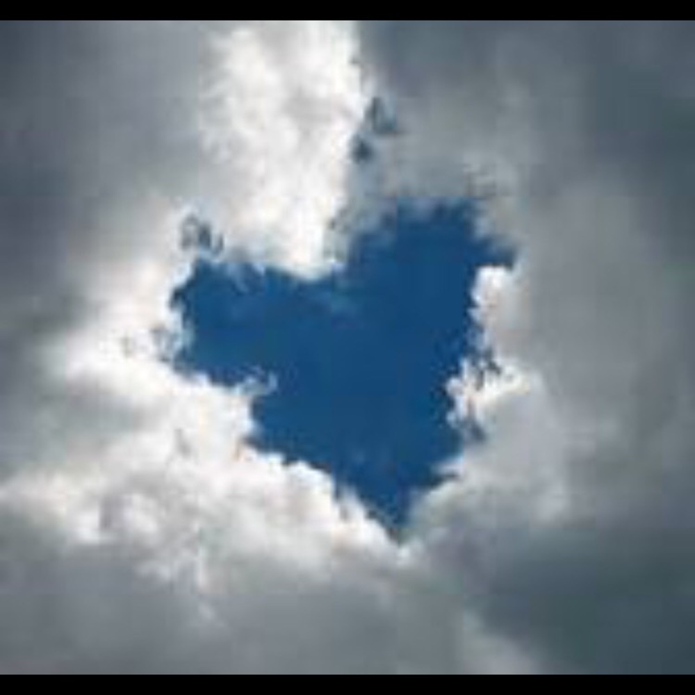 Meet your Posher, Mollie