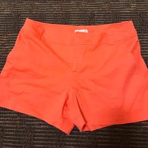 brand new! New York & company shorts