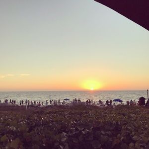 Meet your Posher, Ray