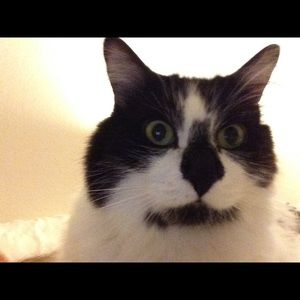 Meet your Posher, Greg