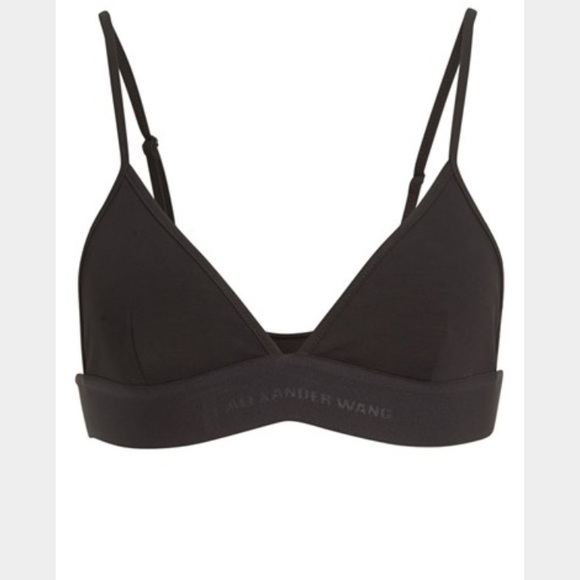 Alexander Wang Other - Alexander wang lux point triangle bra