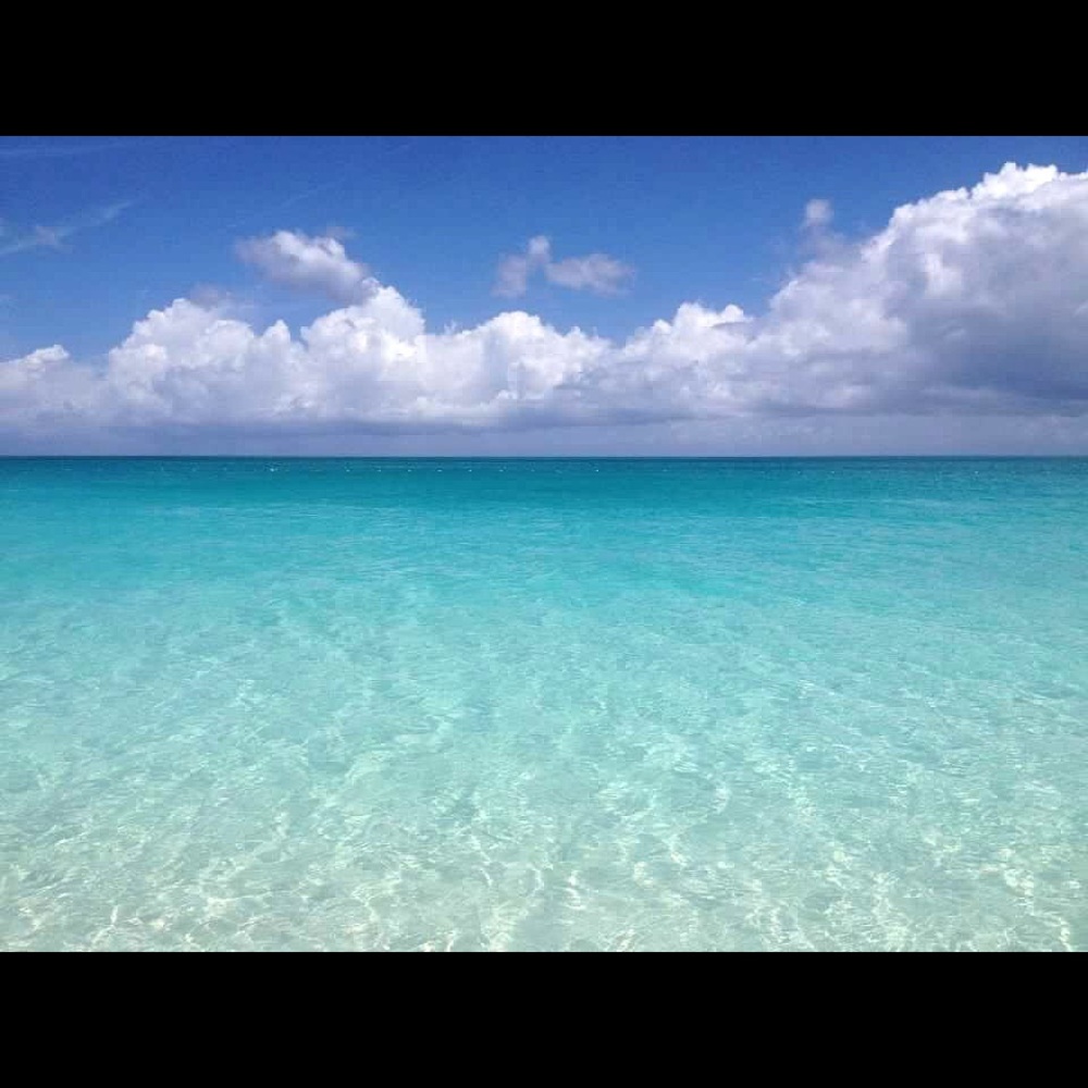 Meet your Posher, Sasha