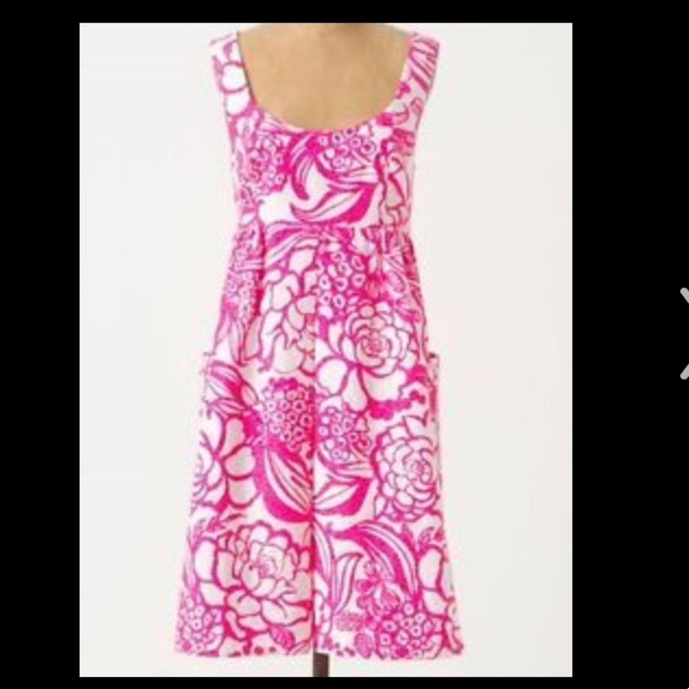 Anthropologie dress NWT size 8