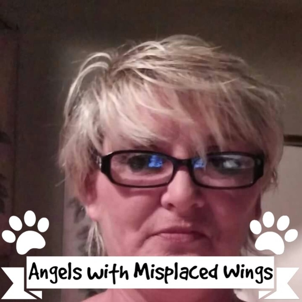 Meet your Posher, Shirley