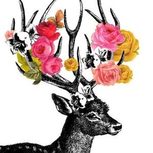 Meet your Posher, Lola