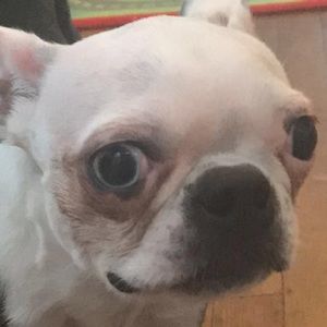 Meet your Posher, Patrick