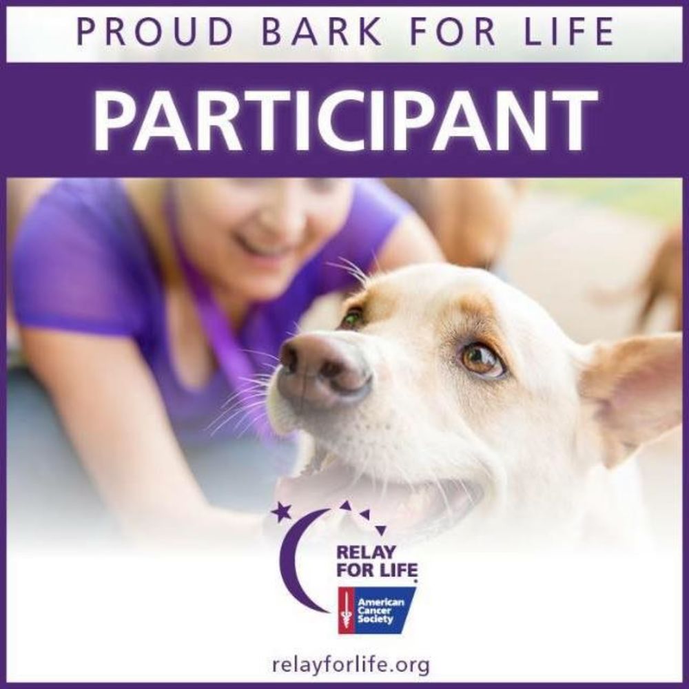 Meet your Posher, Tracie