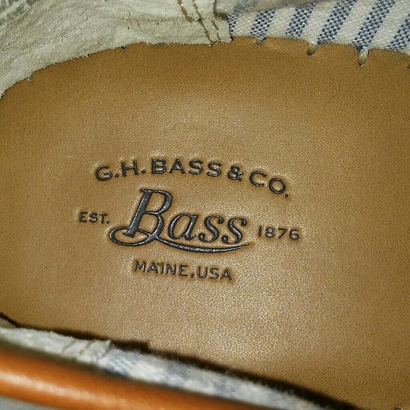 BASS - Picture 3 of 8