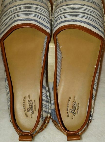 BASS - Picture 4 of 8