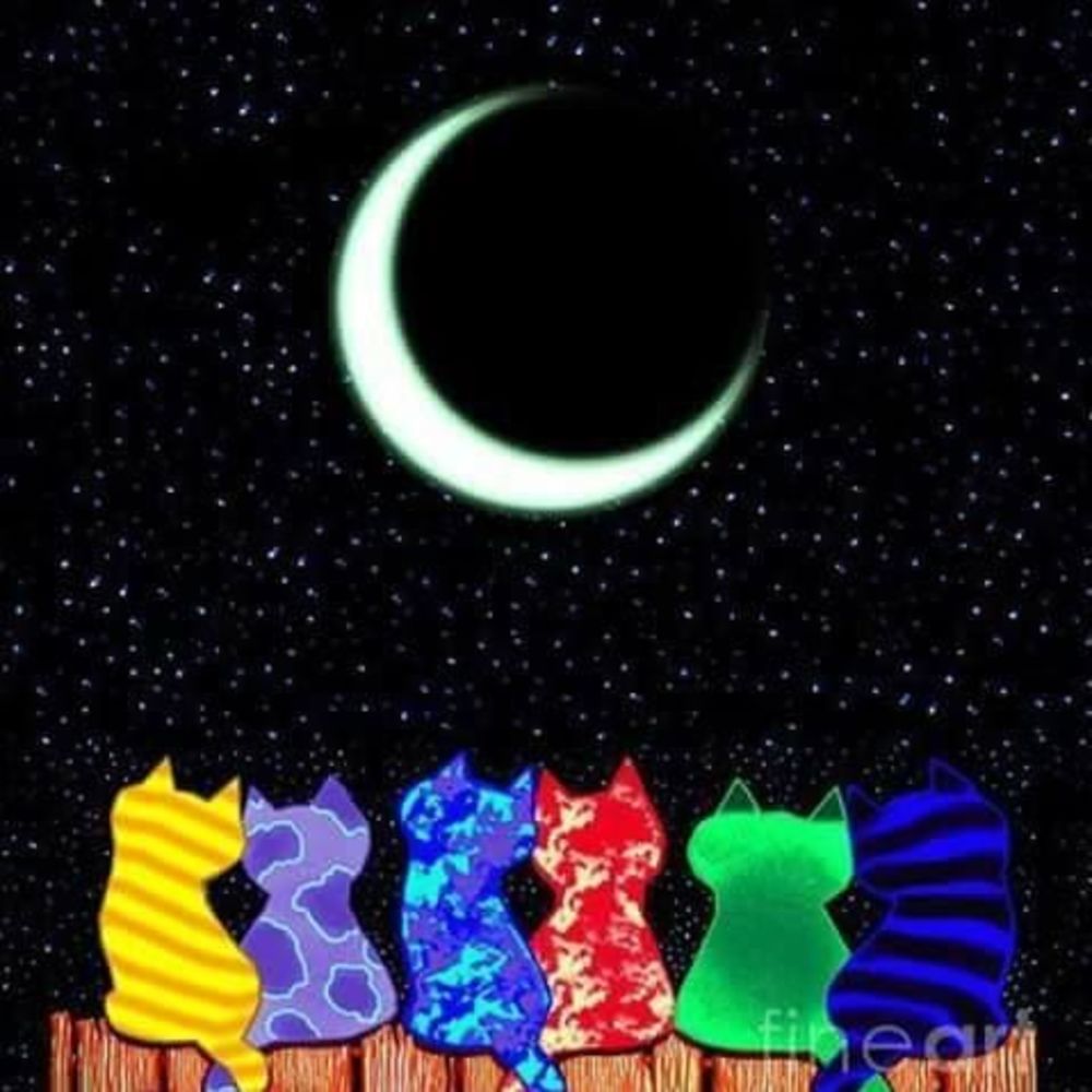 Meet your Posher, Lynn pincus