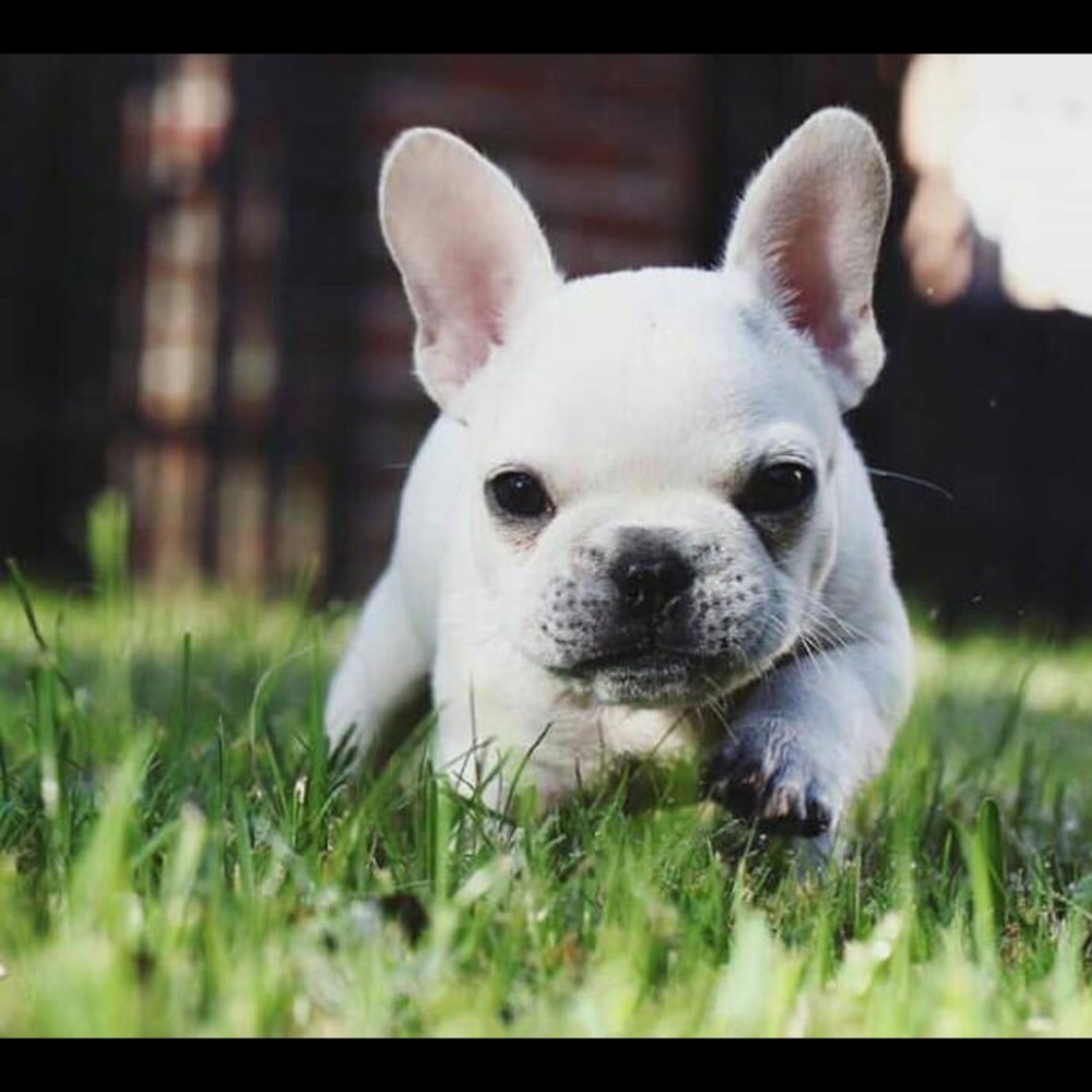 Meet your Posher, Vivian