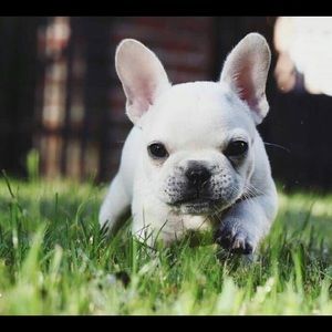 Meet your Posher, Vivian