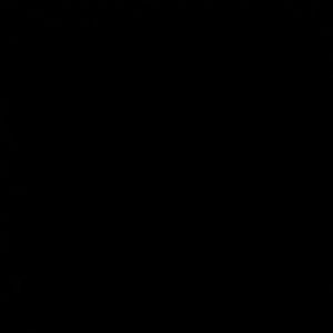 Meet your Posher, Tikesha