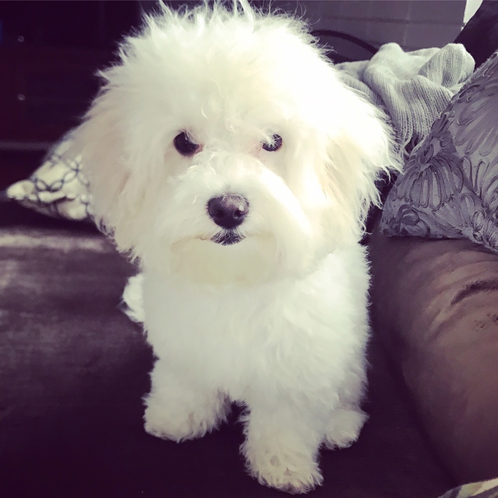 Meet your Posher, Fernando