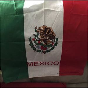 Mexico flag bandana Mexican bandana flag