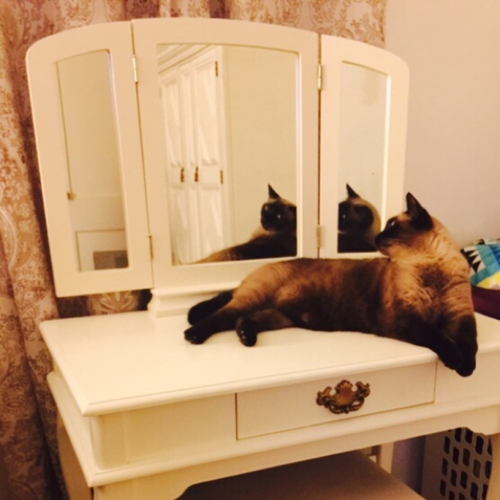 Meet your Posher, Kimmi