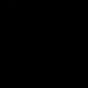 Meet your Posher, Abbey