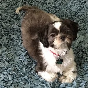 Meet your Posher, Cathy