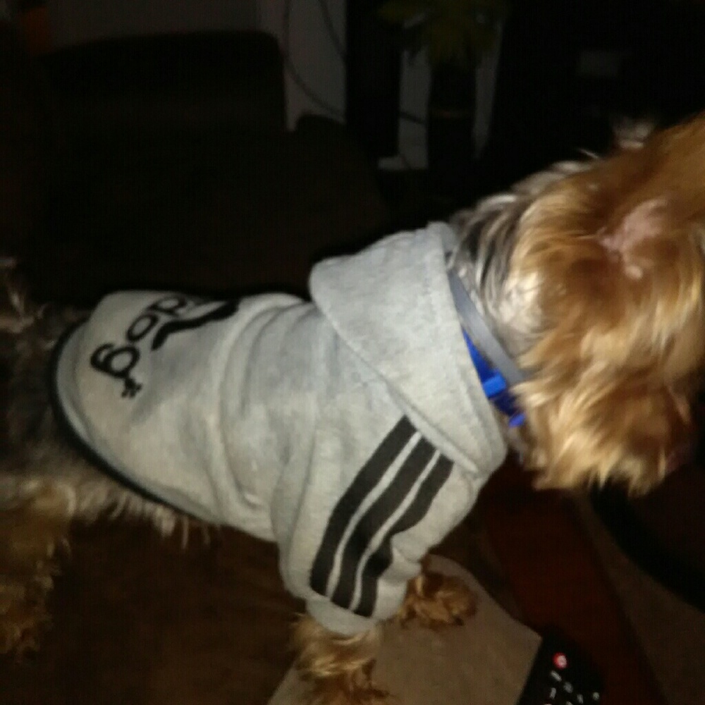 Meet your Posher, Tammy